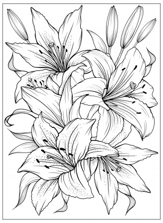 Coloring page with Lilies and leaves. Vector page for coloring. Flower Colouring  page. Floral print. Outline Lily. Black and white page for coloring book.  2370605 Vector Art at Vecteezy