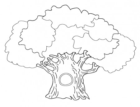 Drawing Tree #154688 (Nature) – Printable coloring pages