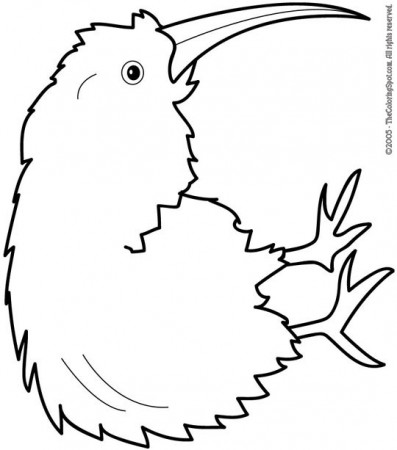 Kiwi Coloring Page | Audio Stories for Kids | Free Coloring Pages |  Colouring Printables