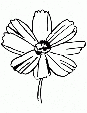 Yellow cosmos flower coloring page | Download Free Yellow cosmos ...