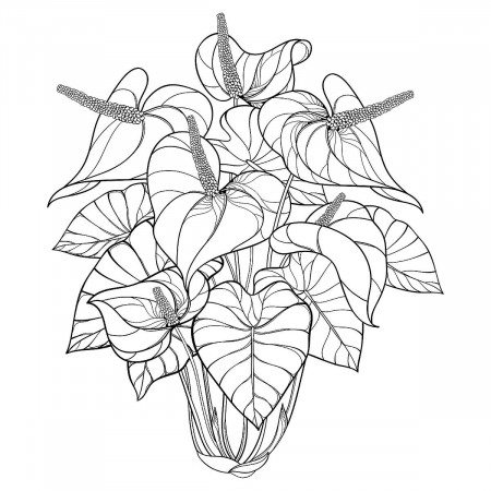 Houseplants Coloring Pages: Free Printable Coloring Pages of Plants for  Plant Lovers | Printables | 30Seconds Mom