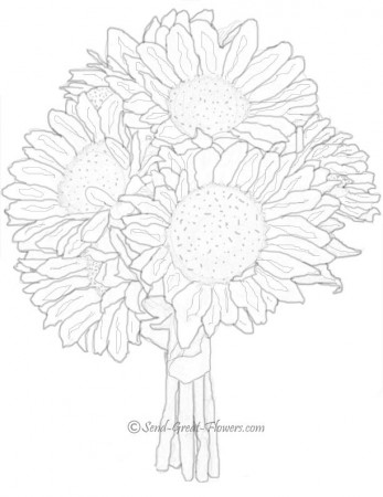 coloring pages sunflower | Maria Lombardic