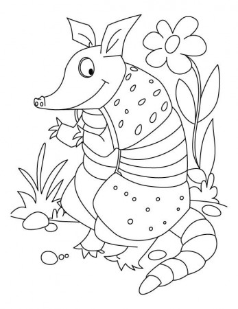 armadillo lizard Colouring Pages