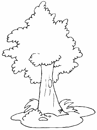 Free-Printable-Tree-Coloring-Pages | COLORING WS