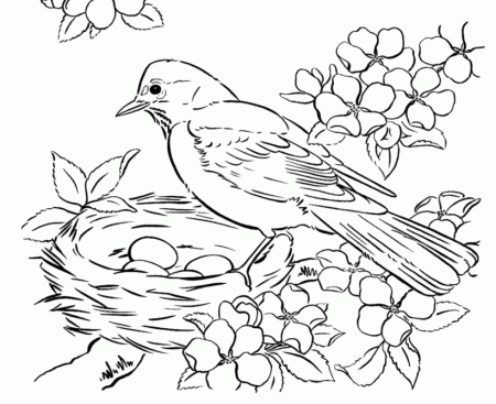 Spring Scenes Coloring Page 21 - Spring Robin Coloring Sheets ...