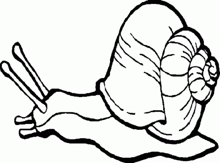 Coloring Page - Snail animal coloring pages 8