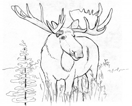 Coloring Pages - Grand Portage National Monument (U.S. National Park  Service)