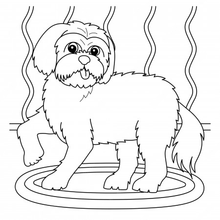 Premium Vector | Maltese dog coloring page for kids