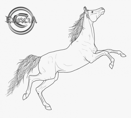 Friesian Horse - Arabian Horse Coloring Page, HD Png Download - kindpng