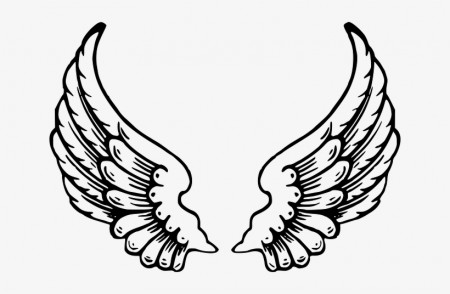Wings - Angel Wings Coloring Pages - Free Transparent PNG Download - PNGkey