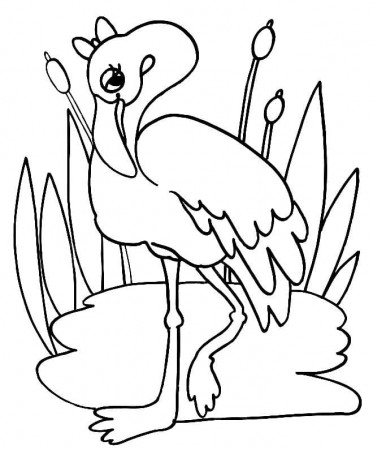 Flamingo coloring pages - 100 Printable coloring pages