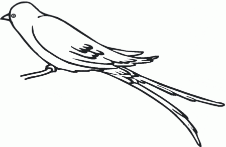 Swallow coloring page - Animals Town - Free Swallow color sheet