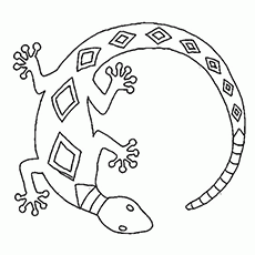 Gecko Coloring Pages Print - Coloring Page