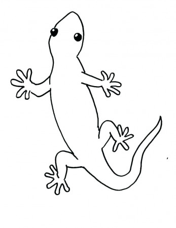 Gecko Coloring Pages - Best Coloring Pages For Kids