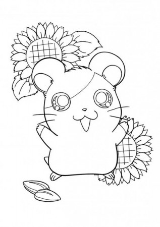 Hamtaro Hamster in Guinea Pig Coloring Page: Hamtaro Hamster in ...