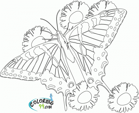 butterfly printable coloring