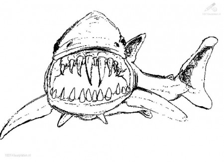 Animated Shark Coloring Pages - Coloring Pages For All Ages