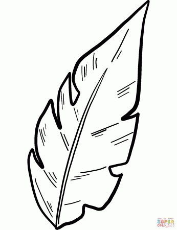 Palm Leaf coloring page | Free Printable Coloring Pages