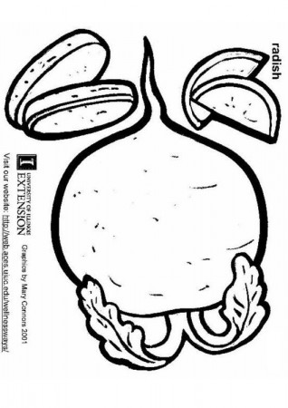 Coloring Page radish - free printable coloring pages - Img 5891