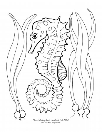 seahorse coloring page - Google Search | Butterfly coloring page ...