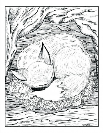 Fresh Coloring Pages Realistic Animals Download | Fox coloring ...