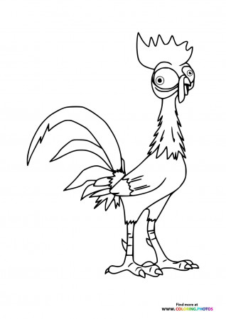 Heihei the Rooster from Moana 2 ...