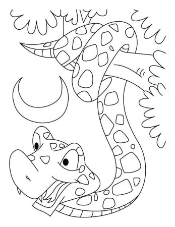 Year of the snake coloring pages | Download Free Year of the snake ...