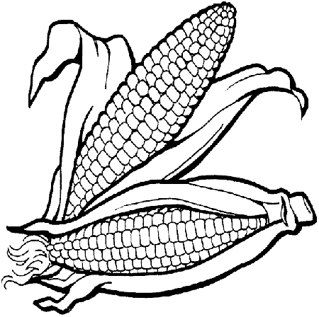 Corn Stalk Coloring Page
