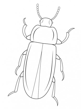 Mealworm Beetle Coloring Page - Free Printable Coloring Pages for Kids