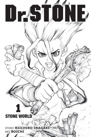 Dr. Stone Chapter 1 Read Online – Read Dr. Stone Manga Chapters