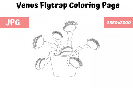 Venus Flytrap Coloring Page for Kids Graphic by MyBeautifulFiles · Creative  Fabrica