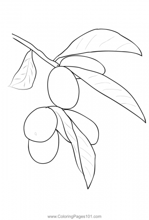 Kumquat 1 Coloring Page for Kids - Free Kumquat Printable Coloring Pages  Online for Kids - ColoringPages101.com | Coloring Pages for Kids