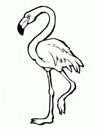 10 Pics of Flamingo Bird Coloring Pages - Baby Flamingo Coloring ...