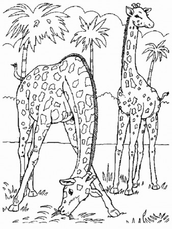 Coloring Pages Of African Animals ...meriwetherfoundation.org