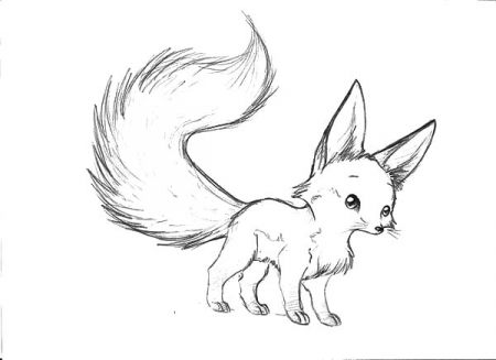 Long Tailed Desert Fox Coloring Pages - NetArt | Fox coloring page, Baby  animal drawings, Cute fox drawing