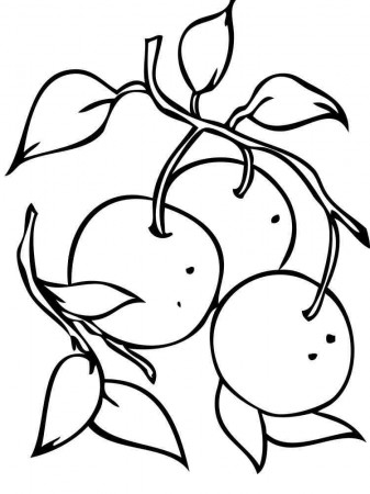 Mandarin (Tangerine) coloring pages. Download and print Mandarin(Tangerine) coloring  pages.