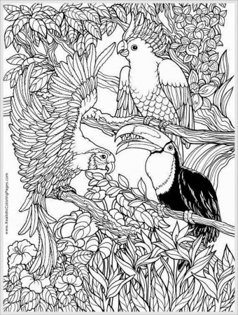 Free Printable Coloring Pages For Adults Only Image 29 Art ...