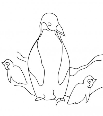 Penguin Coloring Pages - Free Printable for Kids