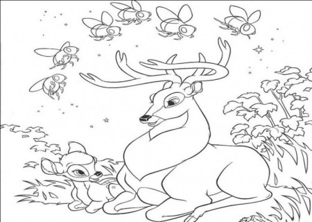 Kids Coloring Free Printable Deer Coloring Pages For Kids White 