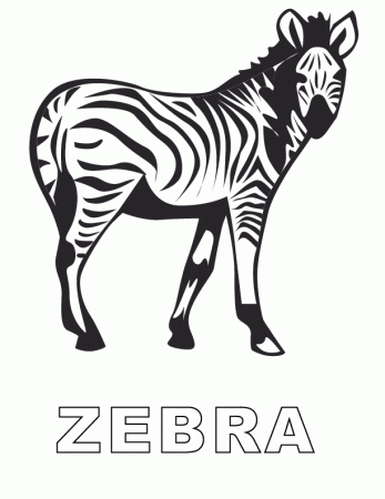 zebra printable coloring in pages for kids - number 1821 online