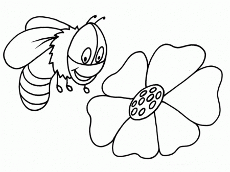 Crockett Honey For Kids Crockett Honey 198372 Honey Bee Coloring Page