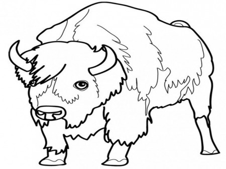 Farm Animals Coloring Pages Free Tattoo Page 3 283773 Liger 