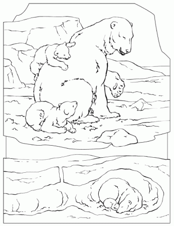 Alaska kids coloring pictures, polar bear coloring pages