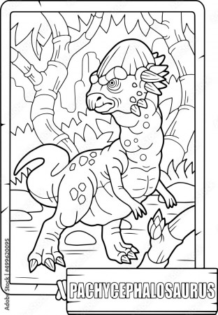 coloring book for children, prehistoric dinosaur pachycephalosaurus,  outline illustration Stock Vector | Adobe Stock