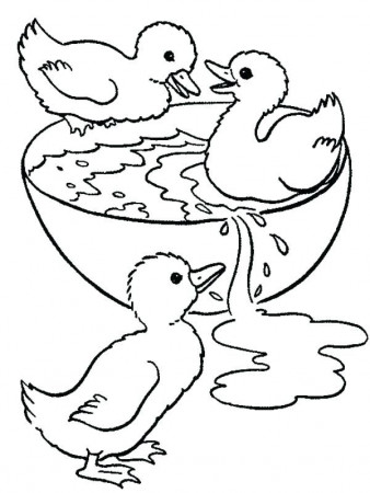 Pin on Animal Coloring Pages