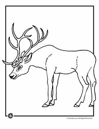 Buck with Antlers Coloring Page | Woo! Jr. Kids Activities : Children's  Publishing