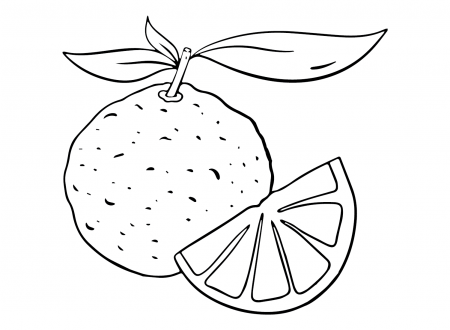 Pomelo Drawing Coloring Pages - Pomelo Coloring Pages - Coloring Pages For  Kids And Adults