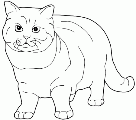 Cats Fat Cats to color coloring pages