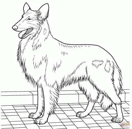 Collie Puppy Coloring Pages - Coloring Pages For All Ages