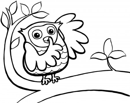 Cute Owls Coloring Pages Printable Owl - Colorine.net | #9457